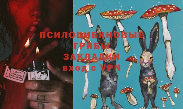 стафф Верея