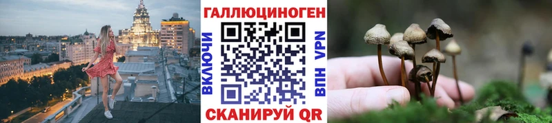 Галлюциногенные грибы MAGIC MUSHROOMS  Купить где  Чебаркуль 