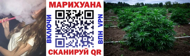 Купить  Чебаркуль  Канабис планчик 